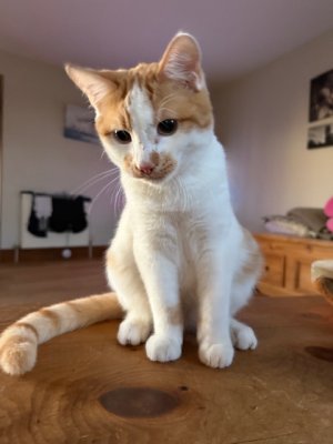 IMG_4579.jpeg IMG_4579.jpeg