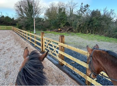 IMG_3975.jpeg IMG_3975.jpeg