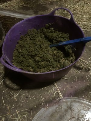 IMG_3785.jpeg IMG_3785.jpeg