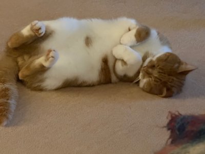 IMG_4687.jpeg IMG_4687.jpeg