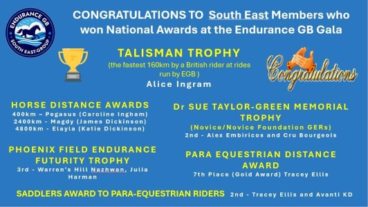 IMG_1465.jpeg IMG_1465.jpeg