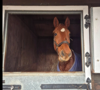 1764240938256.png 1764240938256.png