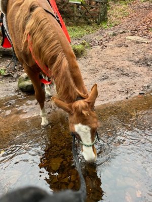 0E9D21A3-6D94-4D48-ABAE-9C0C6D7B2777.jpeg 0E9D21A3-6D94-4D48-ABAE-9C0C6D7B2777.jpeg