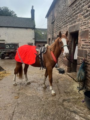 B0E926F5-815D-481F-9173-96C652769066.jpeg B0E926F5-815D-481F-9173-96C652769066.jpeg