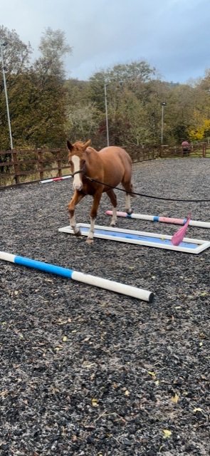 C7AEBCB4-8DDF-45AE-AD79-7A54FD6D6FD9.jpeg C7AEBCB4-8DDF-45AE-AD79-7A54FD6D6FD9.jpeg