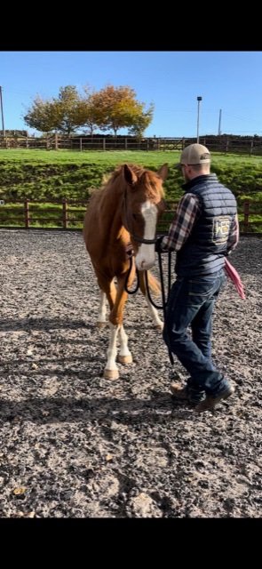 84B874E6-5321-4072-9691-D95F895390AF.jpeg 84B874E6-5321-4072-9691-D95F895390AF.jpeg