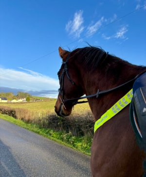 IMG_4091.jpeg IMG_4091.jpeg