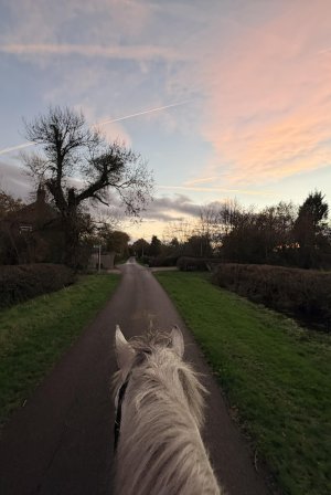 590281943_10231900601841934_2252293863606935981_n.jpg 590281943_10231900601841934_2252293863606935981_n.jpg