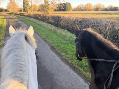 592146098_860003106534941_7452602832568163305_n.jpg 592146098_860003106534941_7452602832568163305_n.jpg