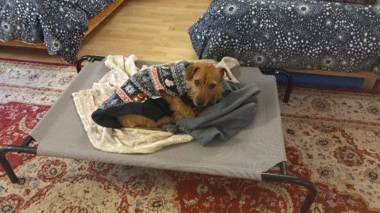 20251202_095315.jpg 20251202_095315.jpg