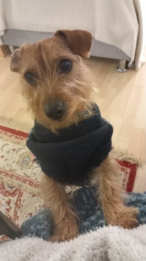 20251202_090828.jpg 20251202_090828.jpg