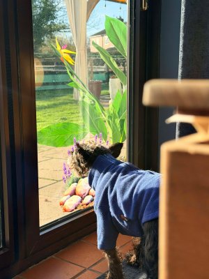 590410197_1197311062322431_1083447892358046202_n.jpg 590410197_1197311062322431_1083447892358046202_n.jpg