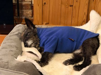 592060118_1533836731269942_893055704197765814_n.jpg 592060118_1533836731269942_893055704197765814_n.jpg