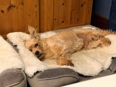 592111109_25928688300049387_3660456084464315085_n.jpg 592111109_25928688300049387_3660456084464315085_n.jpg