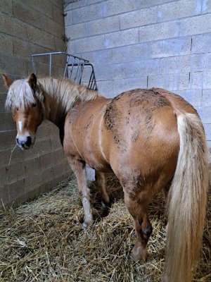 IMG-20251114-WA0001.jpg IMG-20251114-WA0001.jpg