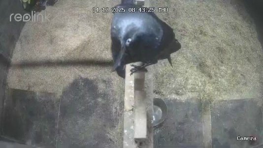 PHOTO-2025-12-04-08-44-07.jpeg PHOTO-2025-12-04-08-44-07.jpeg