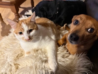 IMG_4820.jpeg IMG_4820.jpeg