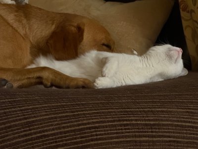 IMG_4813.jpeg IMG_4813.jpeg