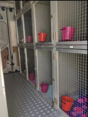 IMG_3096.jpeg IMG_3096.jpeg