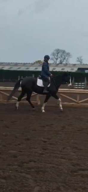 00BD75A3-6B57-4422-9B2E-346D361FCFC5.jpeg 00BD75A3-6B57-4422-9B2E-346D361FCFC5.jpeg