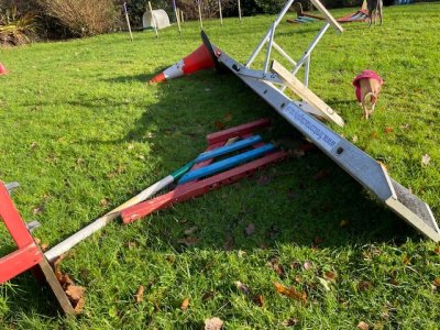 IMG_5900.jpeg IMG_5900.jpeg