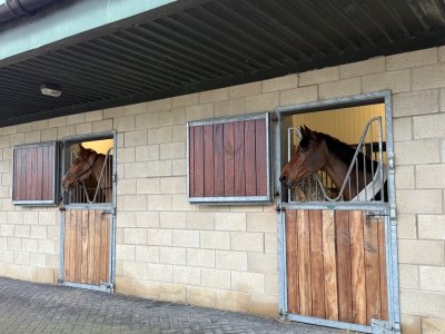 IMG_1952.jpeg IMG_1952.jpeg