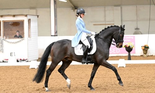 IMG_6764.jpeg IMG_6764.jpeg