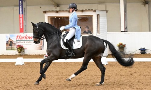 IMG_6765.jpeg IMG_6765.jpeg