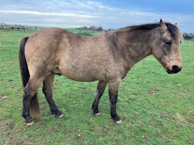 image1.jpeg image1.jpeg