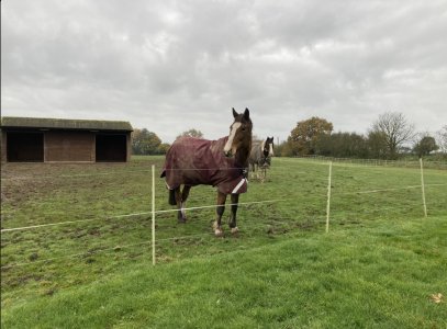 IMG_3104.jpeg IMG_3104.jpeg