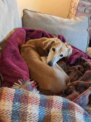 received_745494390743557.jpeg received_745494390743557.jpeg