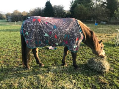 IMG_1680.jpeg IMG_1680.jpeg