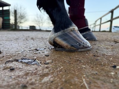 IMG_4936.jpeg IMG_4936.jpeg