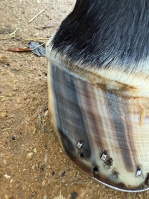 IMG_4937.jpeg IMG_4937.jpeg