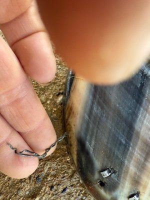 IMG_4938.jpeg IMG_4938.jpeg