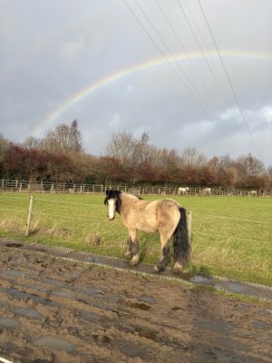 IMG_6105.jpeg IMG_6105.jpeg