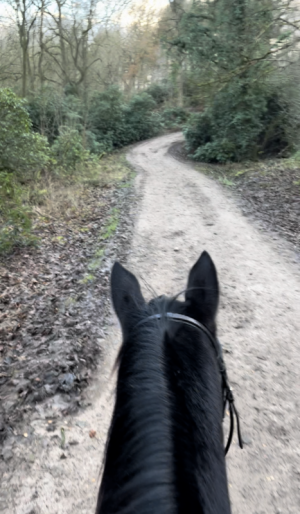 IMG_5273.PNG IMG_5273.PNG