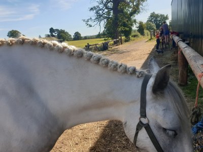 IMG-20251211-WA0004.jpg IMG-20251211-WA0004.jpg