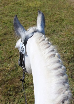 IMG-20250915-WA0010.jpg IMG-20250915-WA0010.jpg