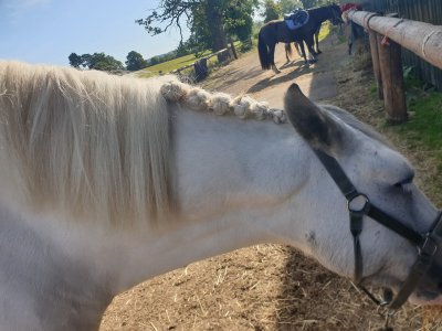 IMG-20251211-WA0003.jpg IMG-20251211-WA0003.jpg