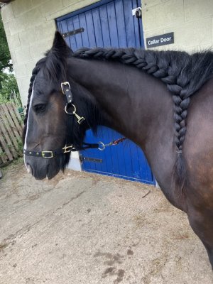 IMG_0614.jpeg IMG_0614.jpeg