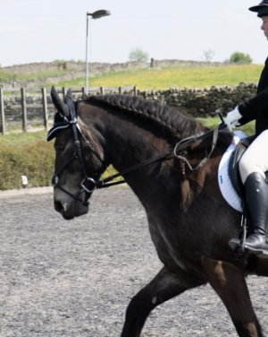 1765528913870.jpeg 1765528913870.jpeg