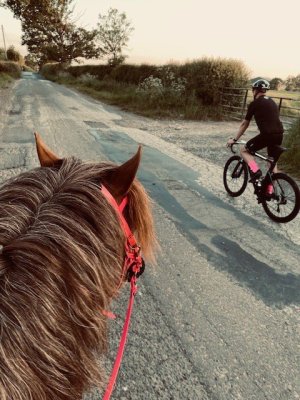 rafmane.jpg rafmane.jpg