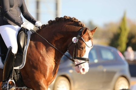 rafplaits.jpg rafplaits.jpg