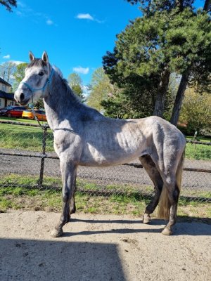 1000071815.jpeg 1000071815.jpeg