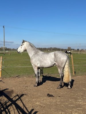 IMG_2635.jpeg IMG_2635.jpeg