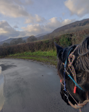 Screenshot_20251214-174154-348.png Screenshot_20251214-174154-348.png