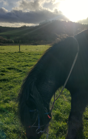 Screenshot_20251214-174728-693.png Screenshot_20251214-174728-693.png