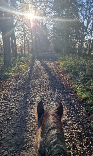 Screenshot_20251214_175134_Gallery.jpg Screenshot_20251214_175134_Gallery.jpg