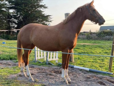 476148311_10096307953760888_1320447413748612659_n.jpg 476148311_10096307953760888_1320447413748612659_n.jpg